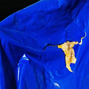 伤心欲绝《月光洒落的地方》歌词歌曲LRC下载