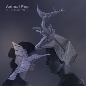 Animal Pop《Red, Green And Blue》歌词