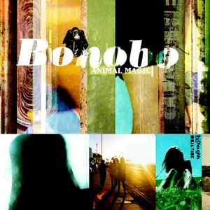 Bonobo《Terrapin》歌词歌曲LRC下载