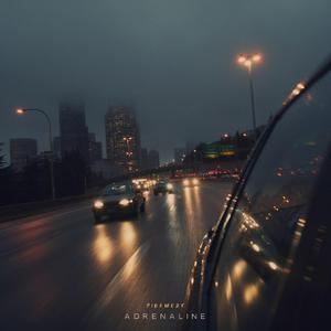 Sibewest《Adrenaline》歌词歌曲LRC下载