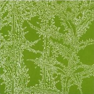 Ricardo Villalobos《Waiworinao》歌词歌曲LRC下载