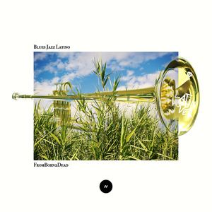 FromBorn2Dead《Blues Jazz Latino》歌词歌曲LRC下载