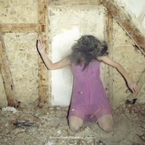 Kammerflimmer Kollektief《Alles Glühen》歌词歌曲LRC下载