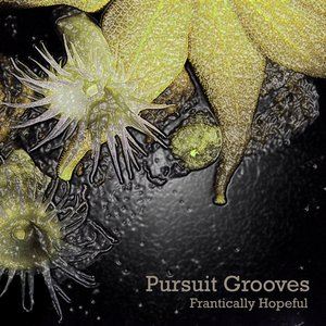 Pursuit Grooves《Transformation of Consciousness》歌词歌曲LRC下载