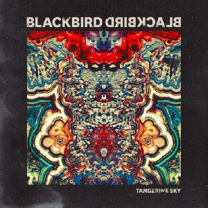 Blackbird Blackbird《Grow Old With Me (Don't Let Go)》歌词