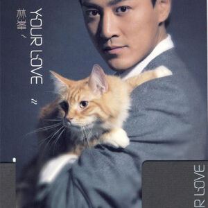 Bang Gang《Something Wrong》歌词歌曲LRC下载