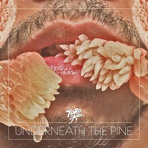 Toro y Moi《New Beat》歌词歌曲LRC下载