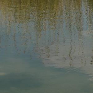 李四伟《Migaloo》歌词歌曲LRC下载