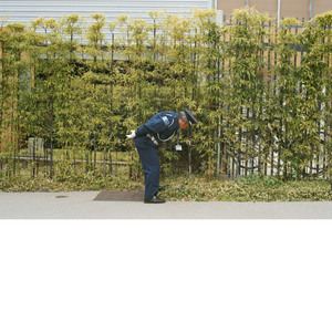 Gold Panda《I Am Real Punk》歌词歌曲LRC下载