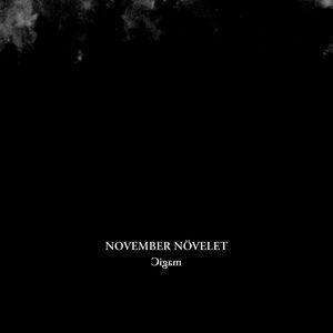 November Növelet《Magic》歌词