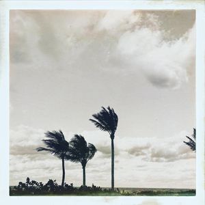 Work Drugs《Winter Keys》歌词歌曲LRC下载