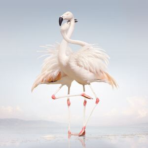 Rustie《Attak (feat. Danny Brown) (feat. Danny Brown)》歌词歌曲LRC下载