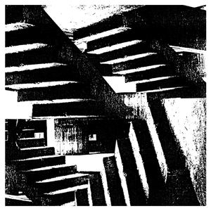 Forever Grey《Curious Creature》歌词歌曲LRC下载