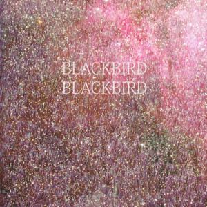 Blackbird Blackbird《So Sorry Girl》歌词