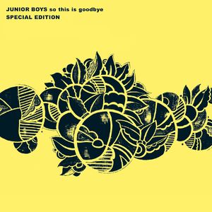 Junior Boys《Double Shadow》歌词