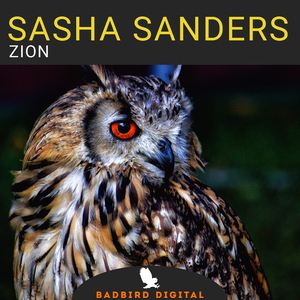 Sasha Sanders《Zion (Vladimir Great Remix)》歌词歌曲LRC下载