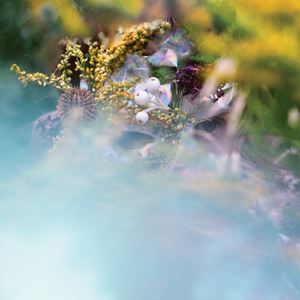 bEEdEEgEE《Helium Anchor》歌词