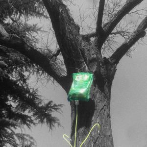 LinKo《城市幸存者》歌词