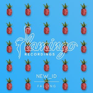 New_ID《Falling (Extended Mix)》歌词歌曲LRC下载