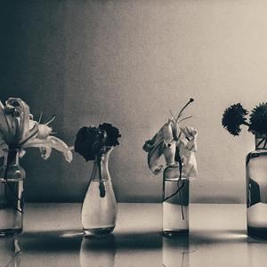 Digital=Divine《Opal》歌词歌曲LRC下载