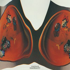 Zaliva-D《Immorality》歌词