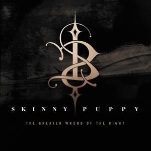 Skinny Puppy《Pro-Test》歌词