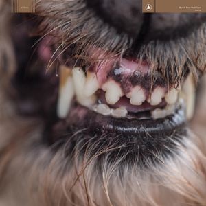 Blanck Mass《Hive Mind》歌词