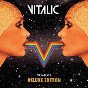 Vitalic《Don't Leave Me Now (Cover Version)》歌词歌曲LRC下载
