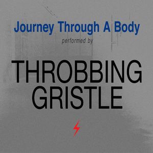 Throbbing Gristle《Medicine》歌词歌曲LRC下载
